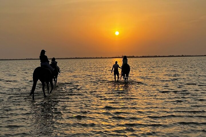 Private Horse Riding Experience at Red Sea - Photo 1 of 9